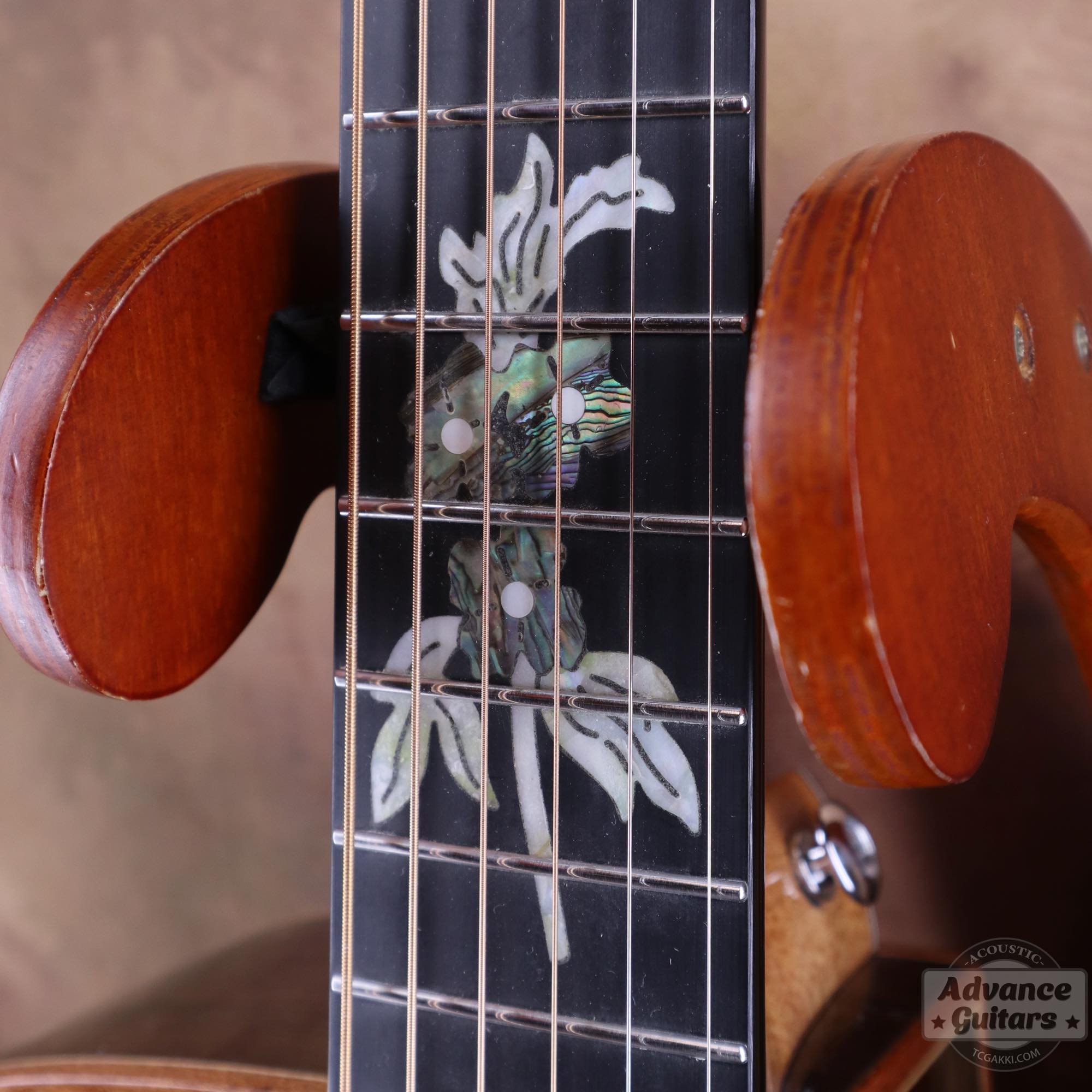 A18GAC2 - EQ - TC楽器 - TCGAKKI