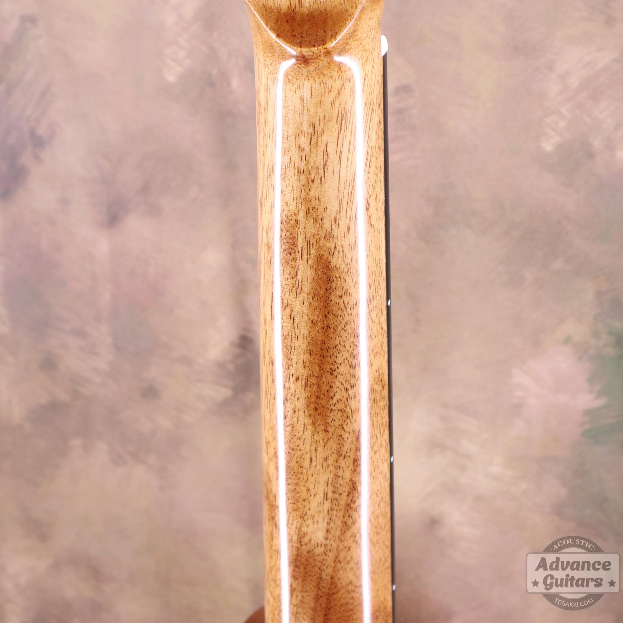 A18GAC2 - EQ - TC楽器 - TCGAKKI