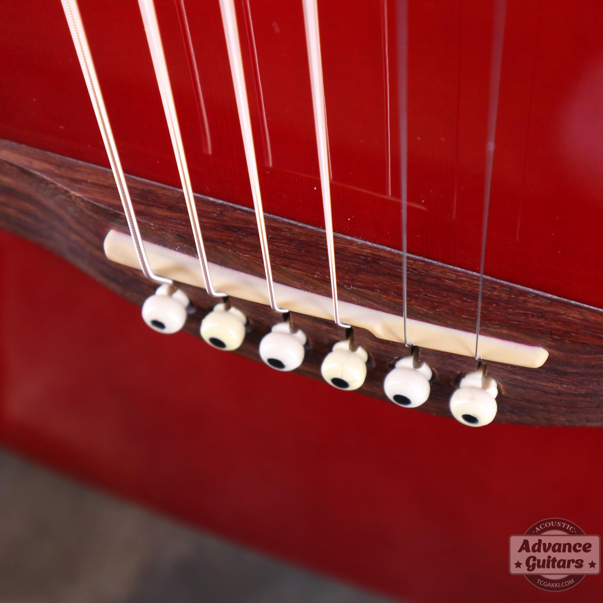 A6 Ultra - TC楽器 - TCGAKKI