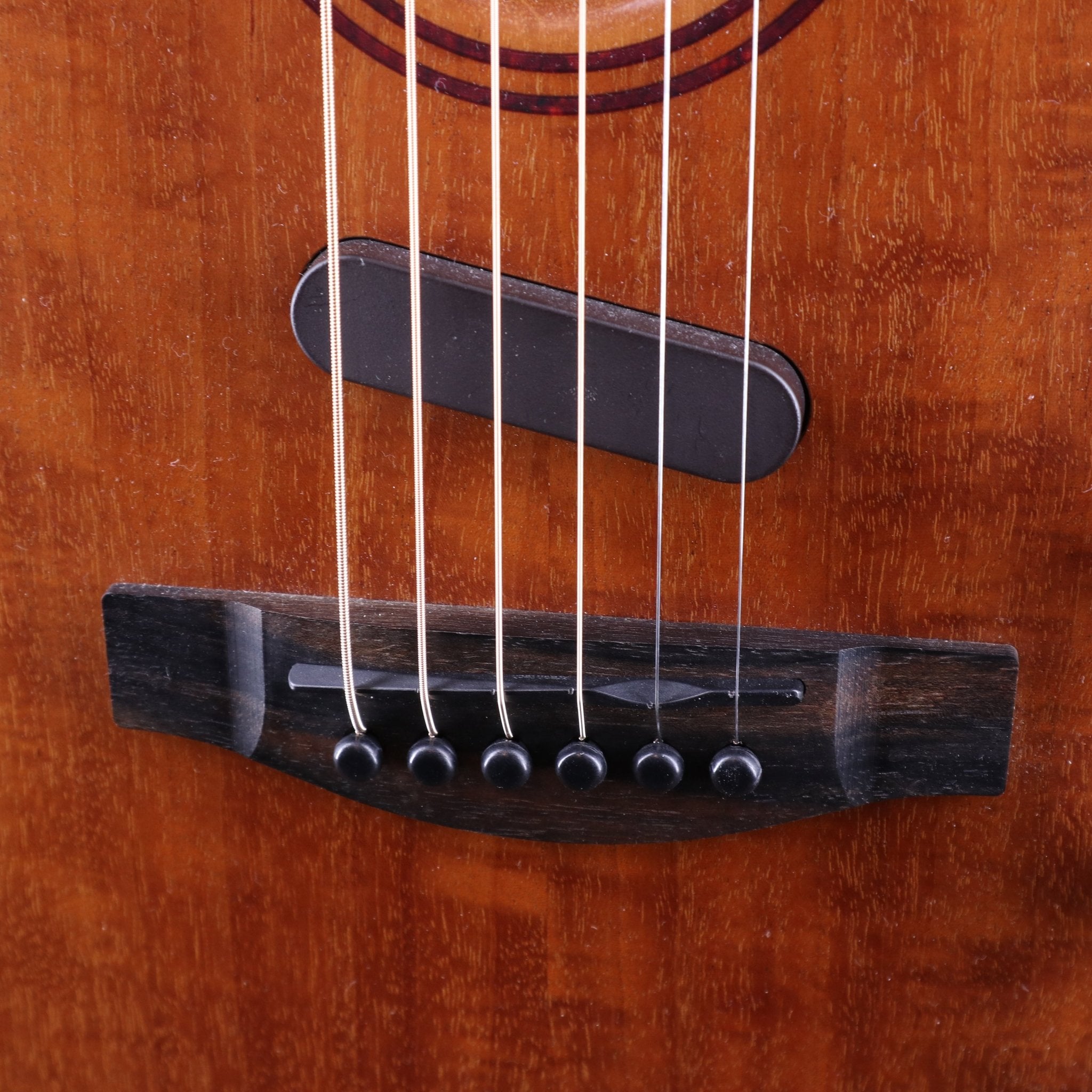 Acoustasonic TL Mahogany - TC楽器 - TCGAKKI