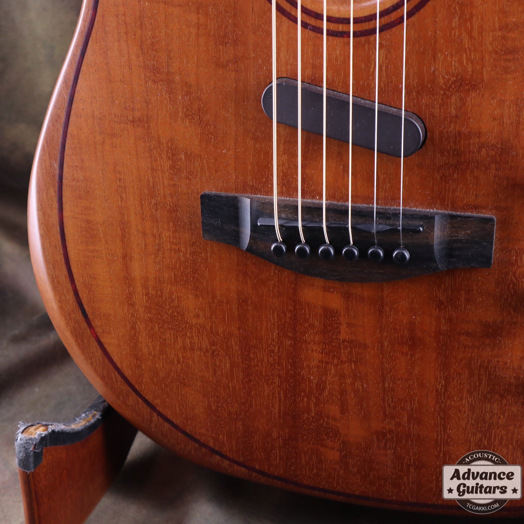 Acoustasonic TL Mahogany - TC楽器 - TCGAKKI