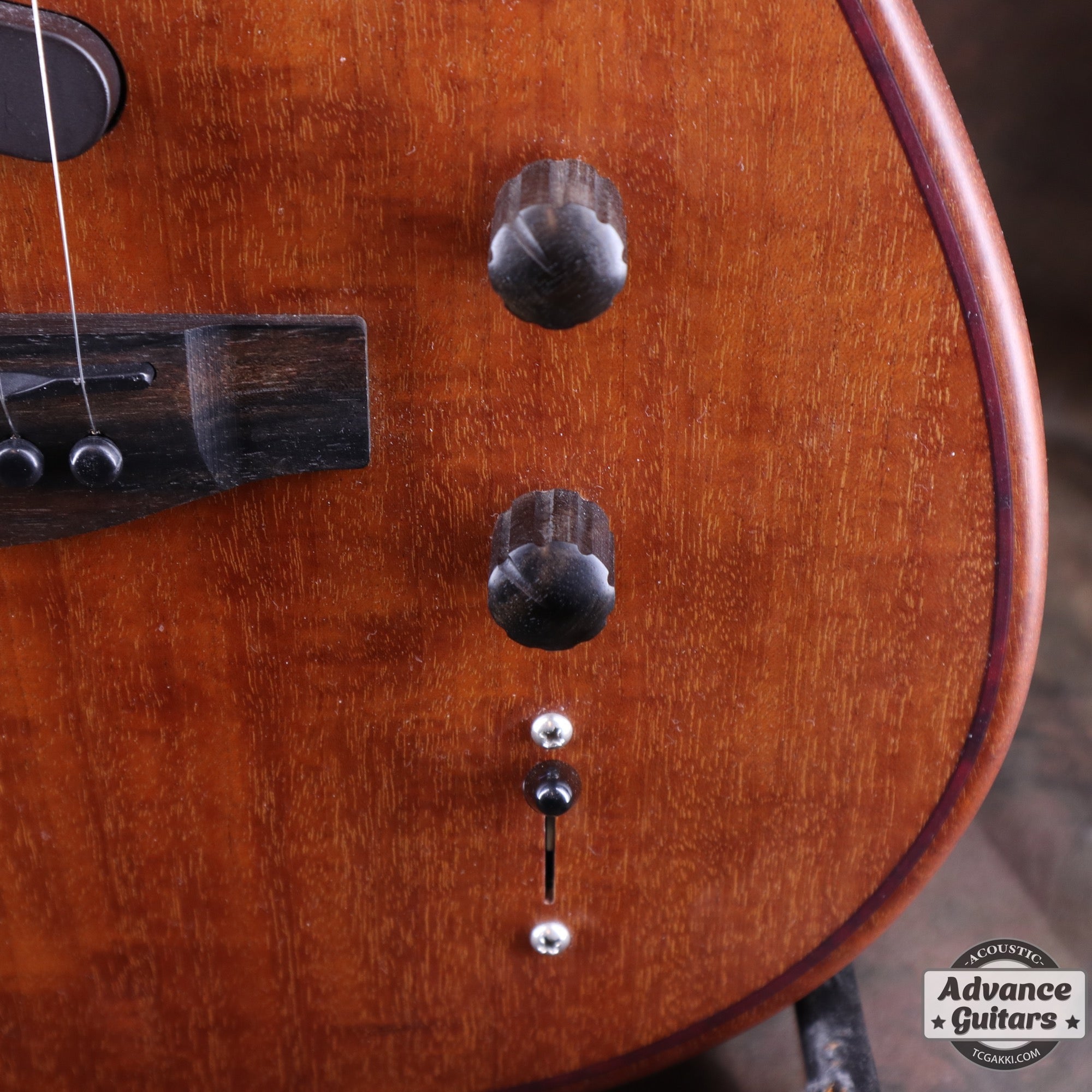 Acoustasonic TL Mahogany - TC楽器 - TCGAKKI