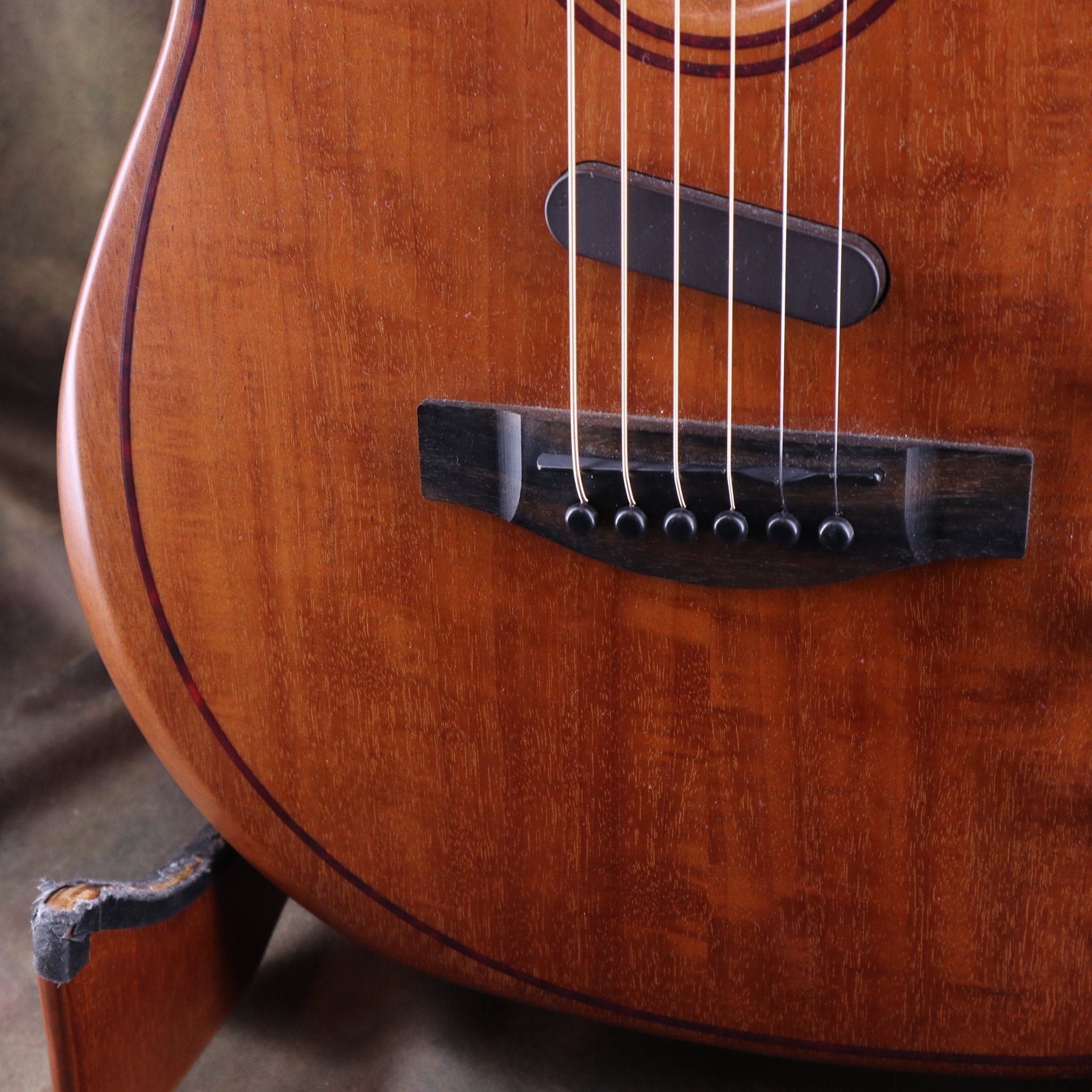 Acoustasonic TL Mahogany - TC楽器 - TCGAKKI