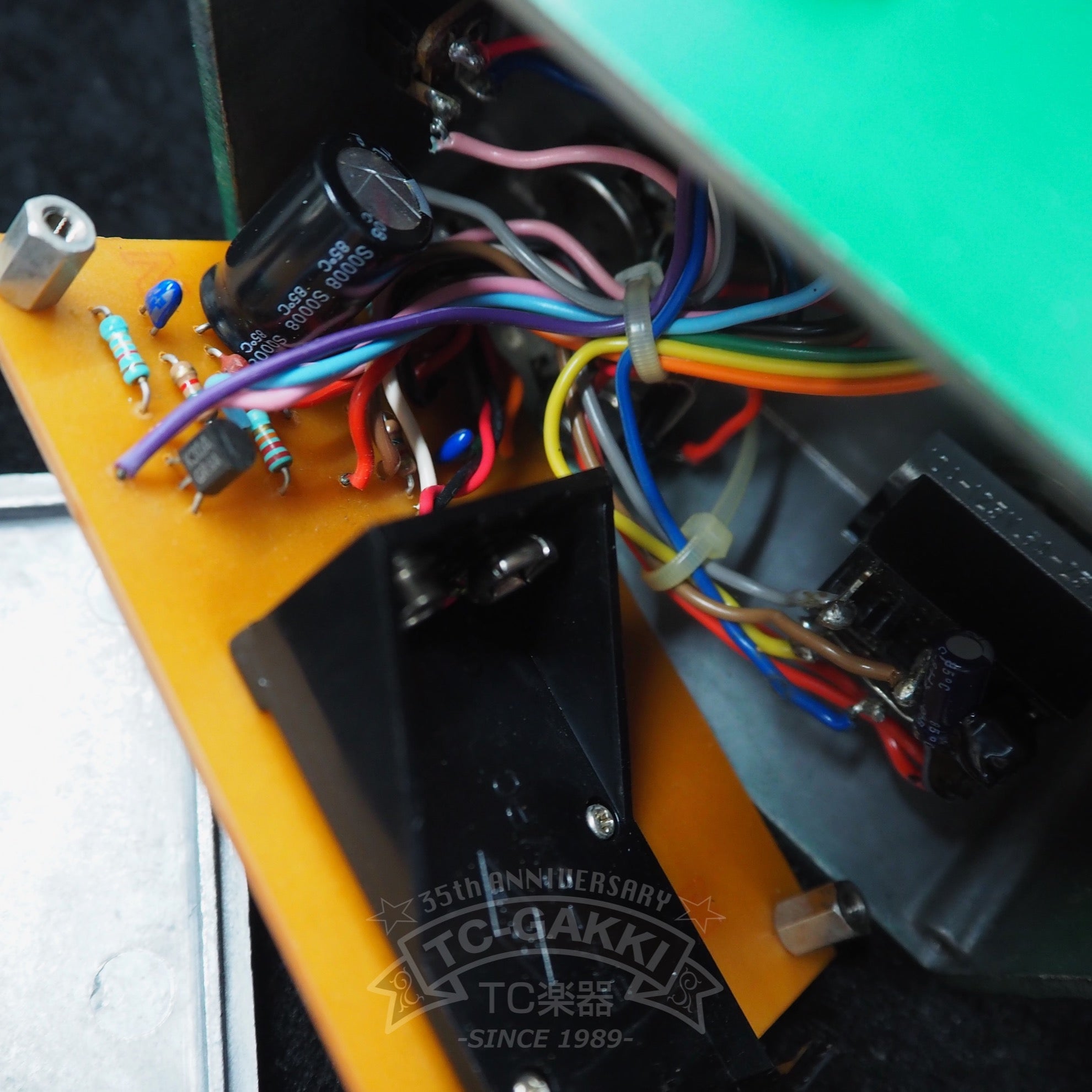 Active Spice AS - 1 (Proto - Type) - TC楽器 - TCGAKKI