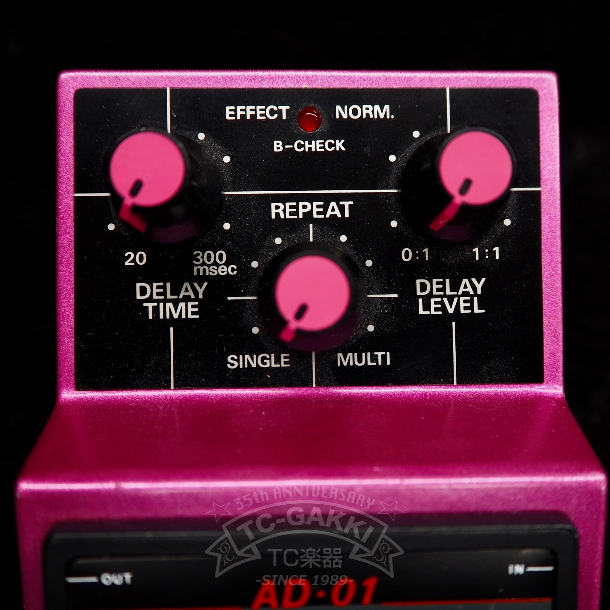 AD-01 ANALOG DELAY