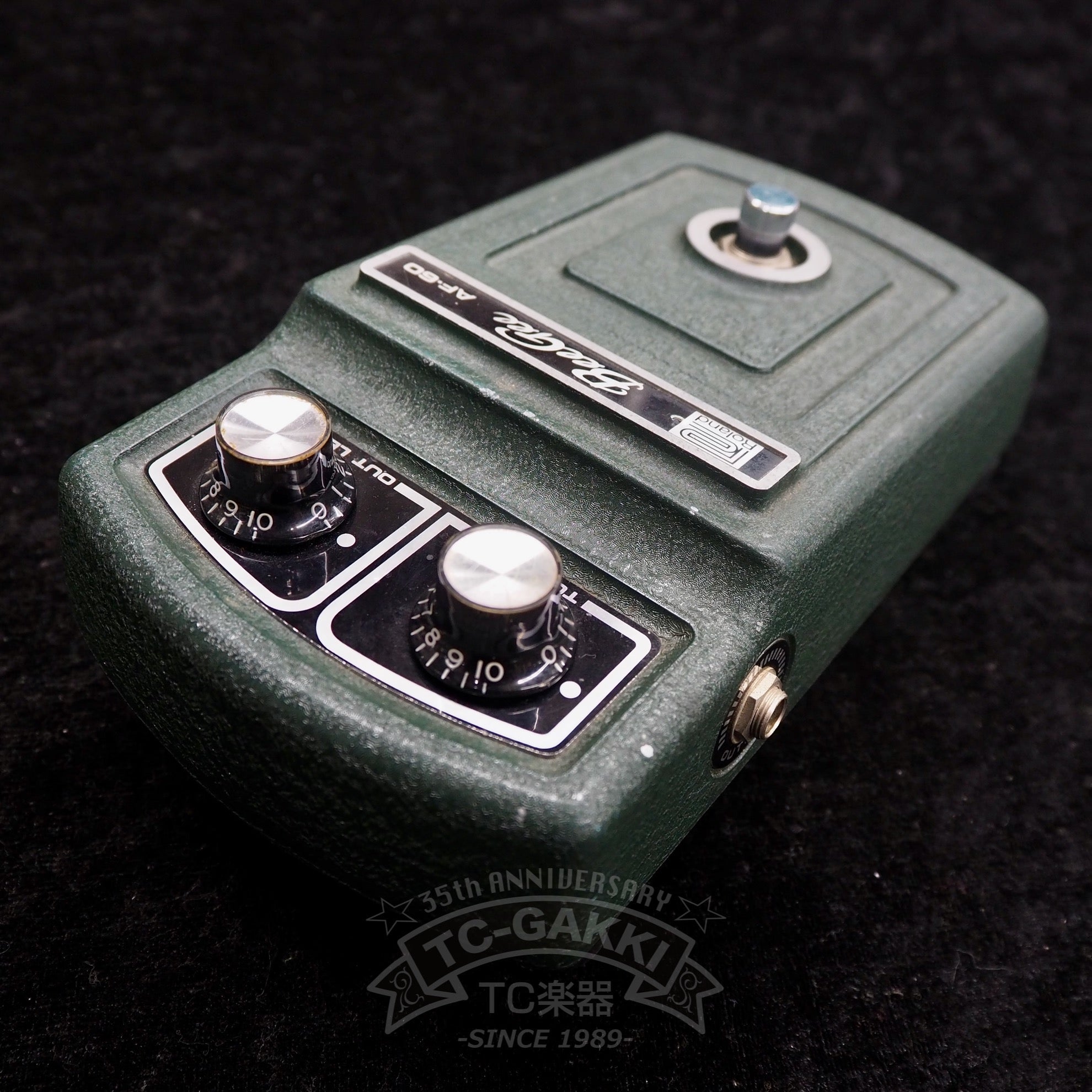 AF - 60 BeeGee - TC楽器 - TCGAKKI