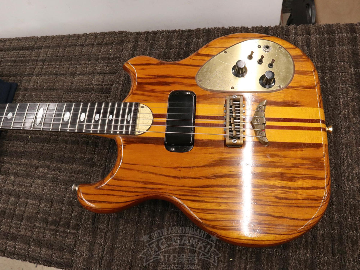 Alembic Distillate Guitar - TC楽器 - TCGAKKI