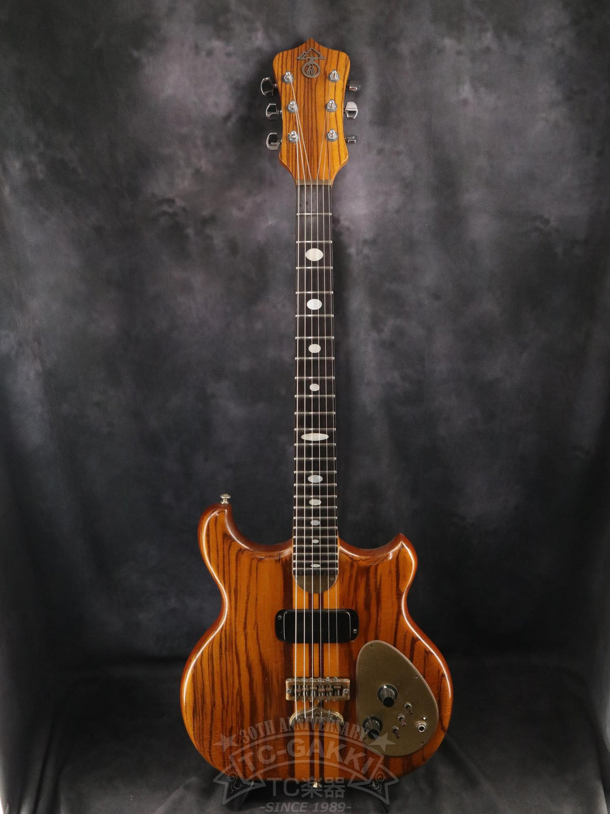 Alembic Distillate Guitar - TC楽器 - TCGAKKI