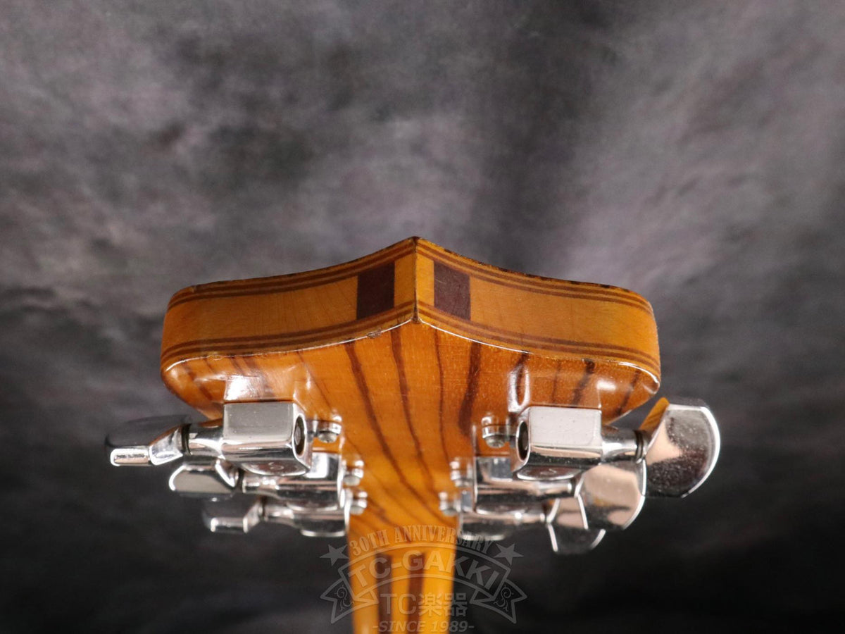 Alembic Distillate Guitar - TC楽器 - TCGAKKI