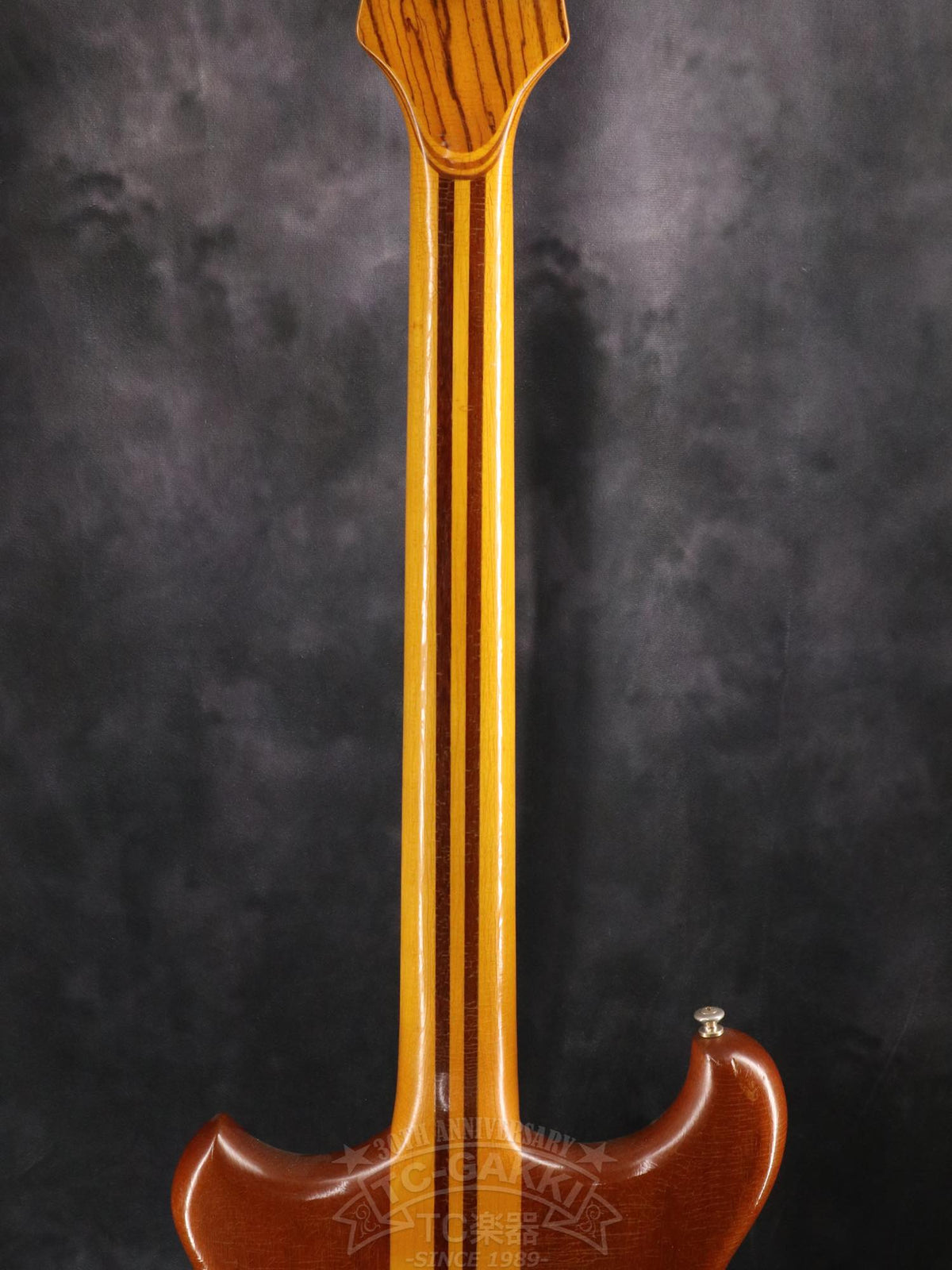 Alembic Distillate Guitar - TC楽器 - TCGAKKI