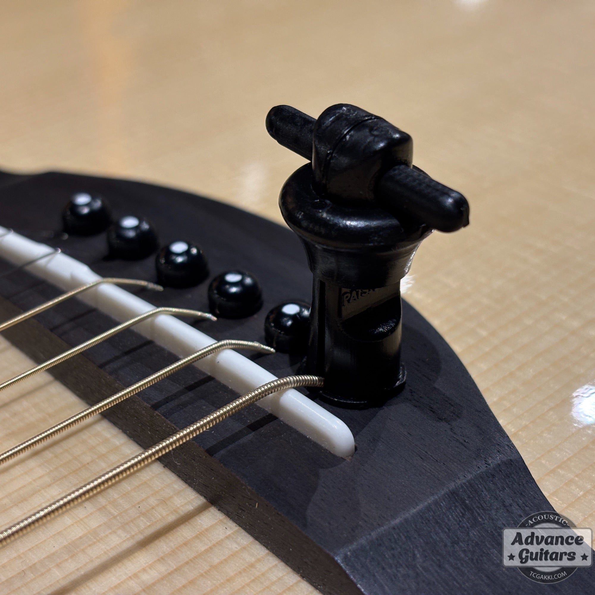 ALLPARTS / ブリッジピン抜き【LT - 1402 - 023】 - TC楽器 - TCGAKKI