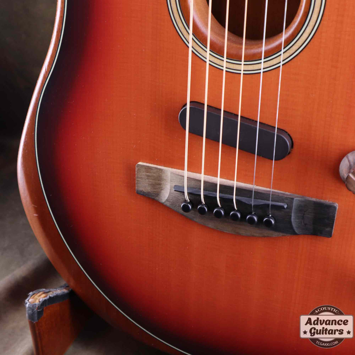American Acoustasonic Stratocaster - TC楽器 - TCGAKKI