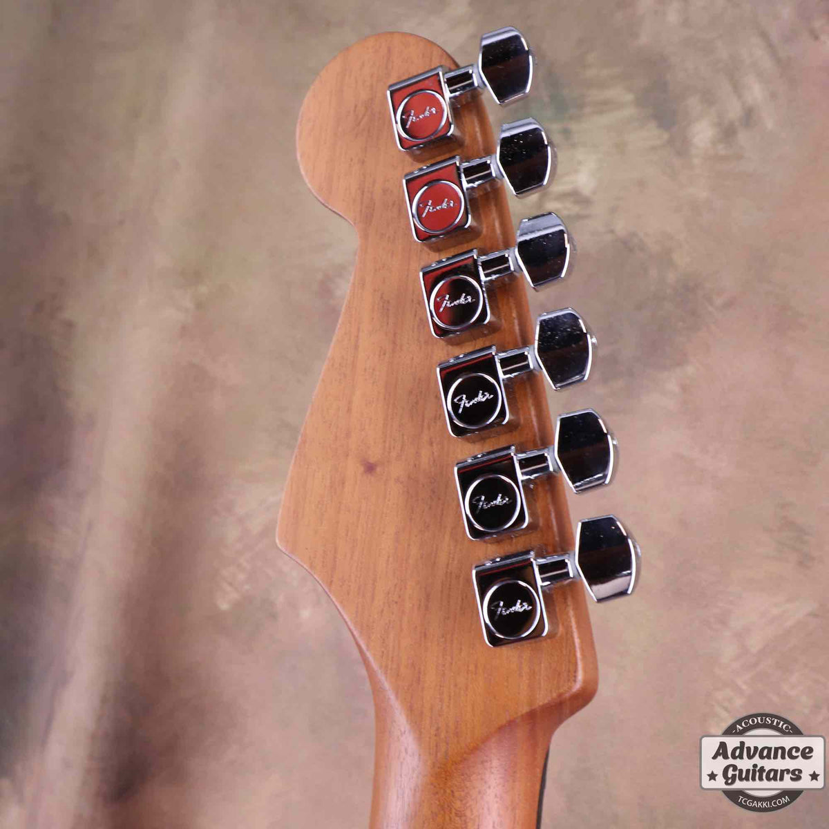 American Acoustasonic Stratocaster - TC楽器 - TCGAKKI