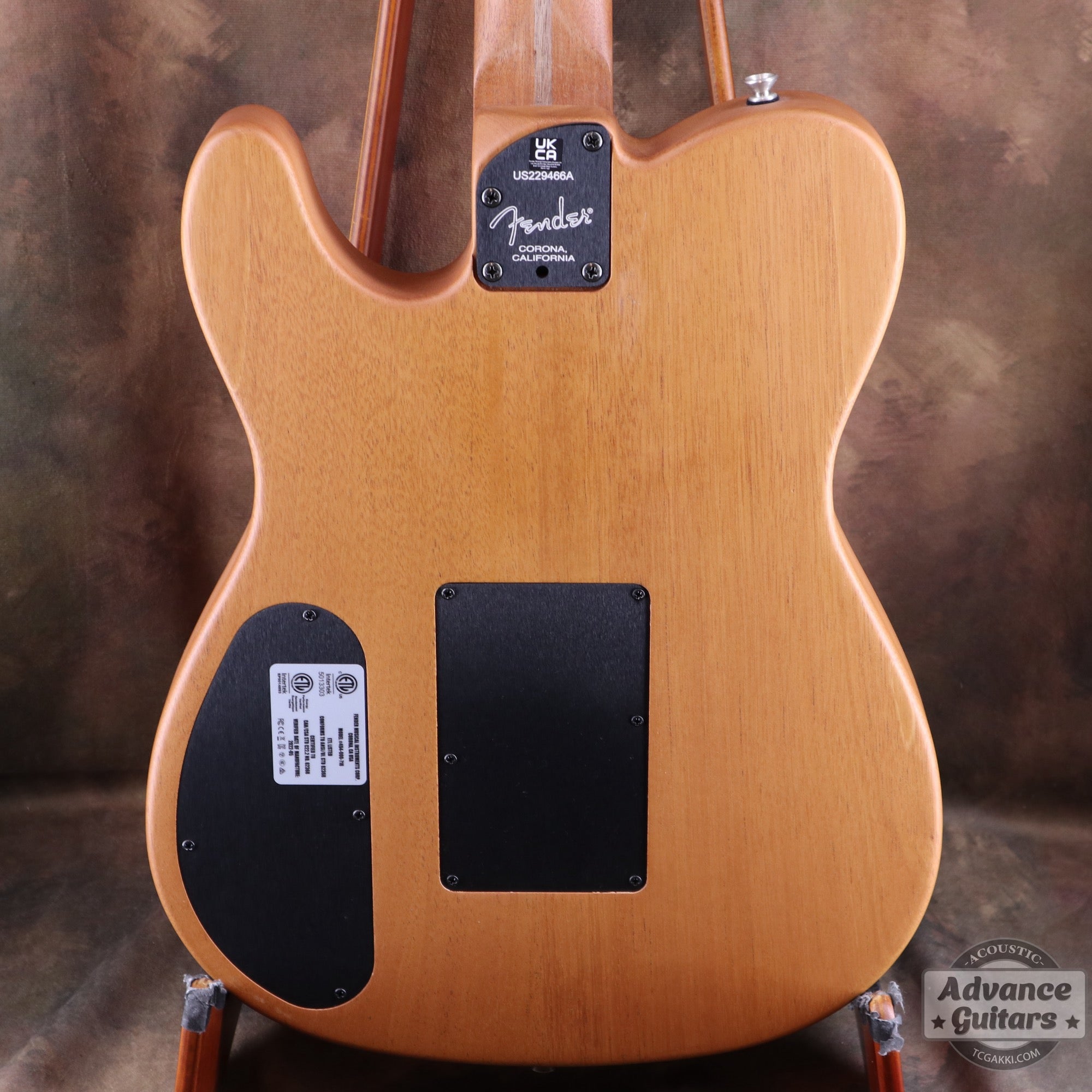 American Acoustasonic Telecaster おまけ多数 American Acoustasonic Telecaster おまけ多数 American Acoustasonic