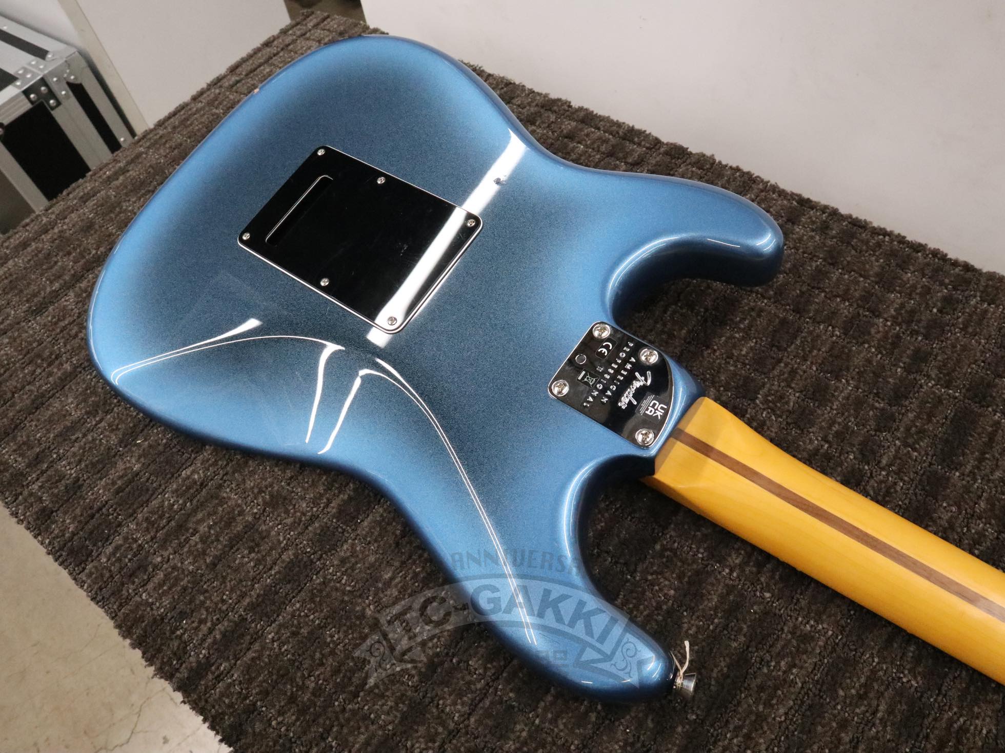 American Professional II Stratocaster - TC楽器 - TCGAKKI