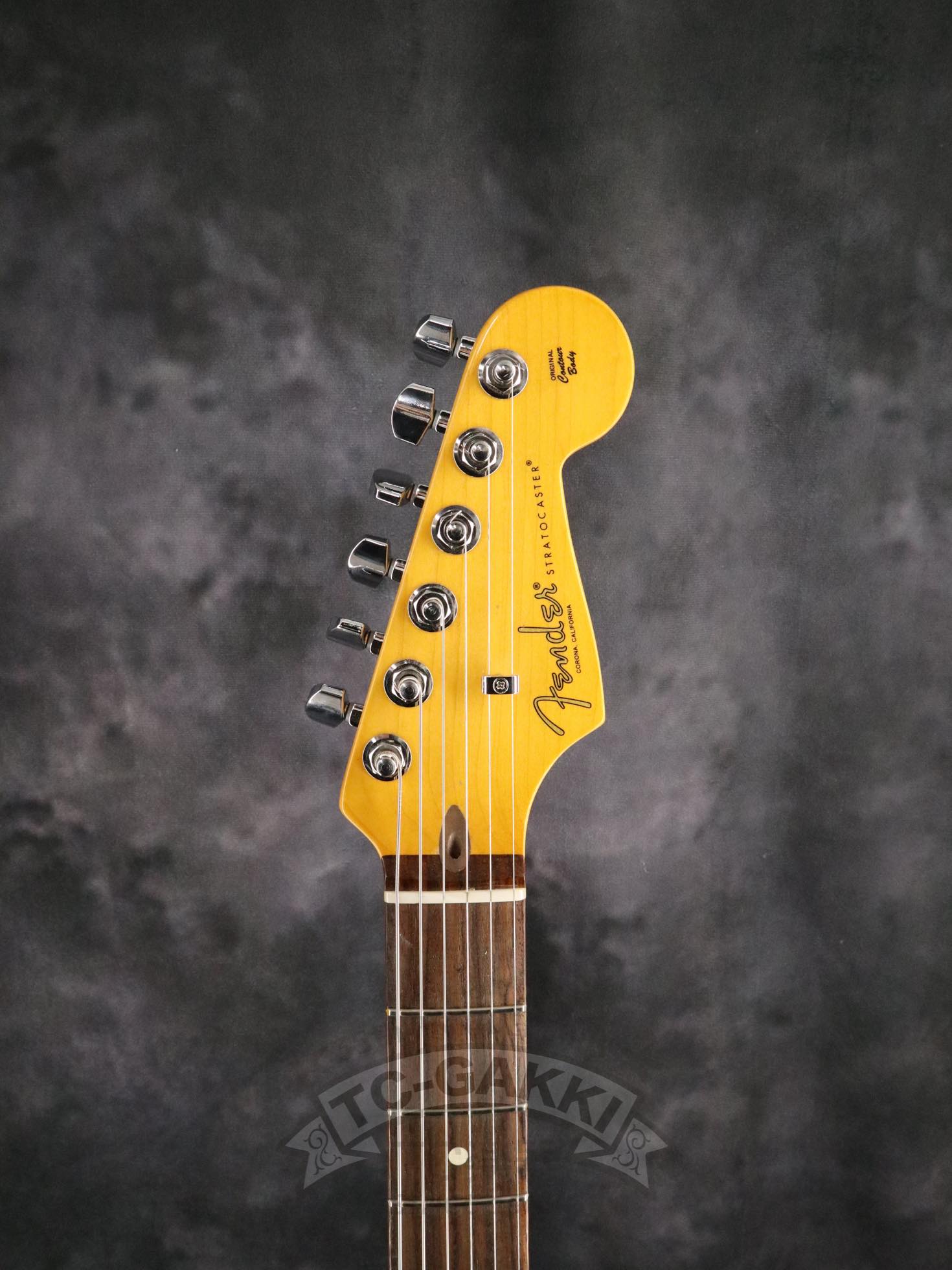 American Professional II Stratocaster