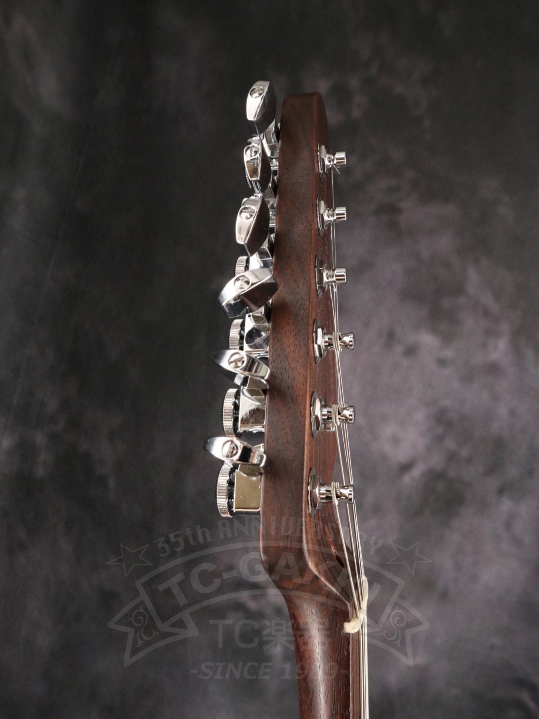 American Professional Jazzmaster Rosewood Neck　Mod. - TC楽器 - TCGAKKI