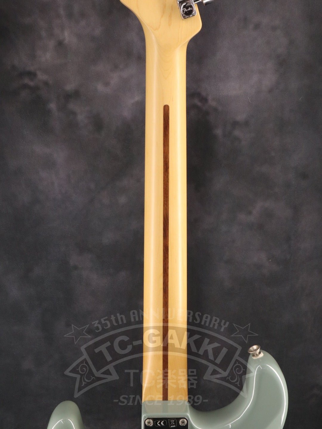 American Professional Stratocaster - TC楽器 - TCGAKKI