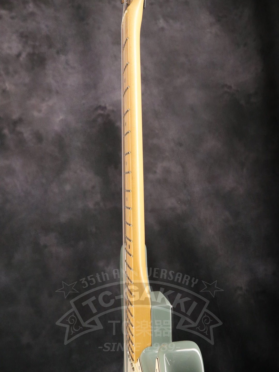 American Professional Stratocaster - TC楽器 - TCGAKKI