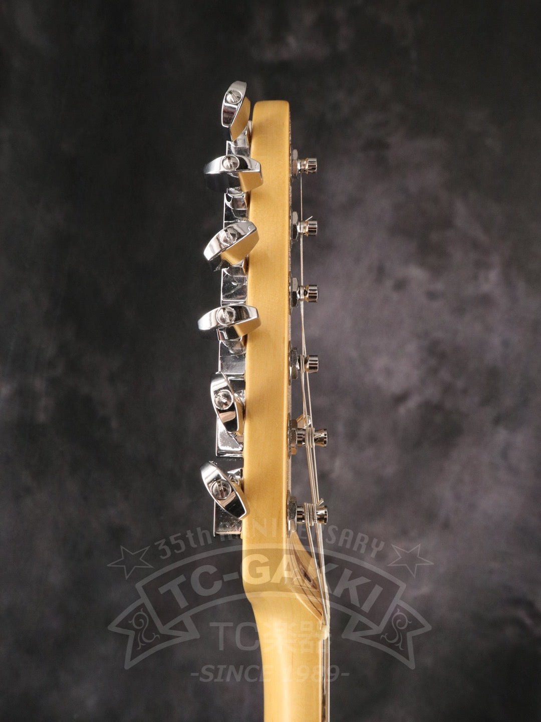 American Professional Stratocaster - TC楽器 - TCGAKKI