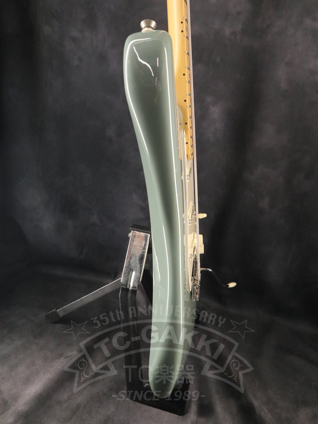 American Professional Stratocaster - TC楽器 - TCGAKKI