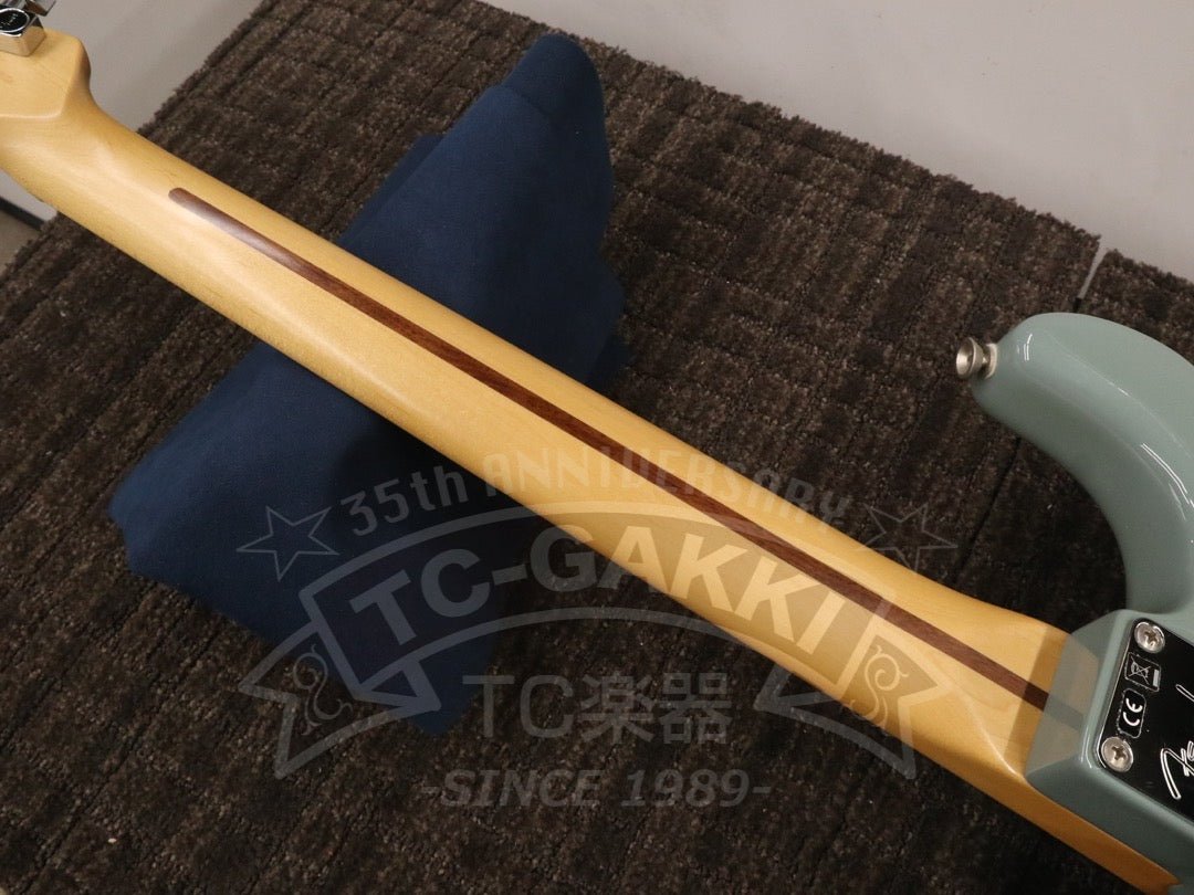 American Professional Stratocaster - TC楽器 - TCGAKKI