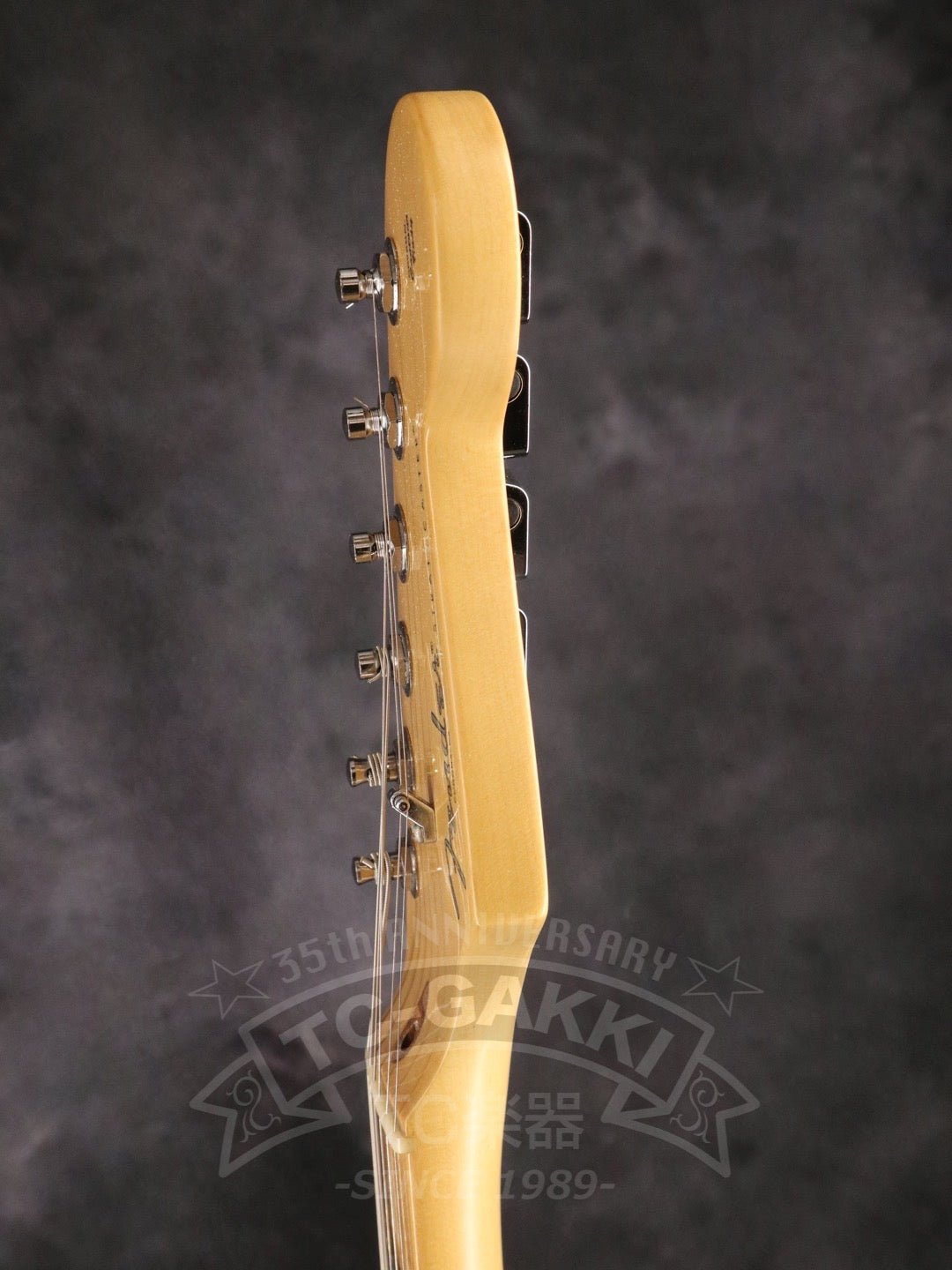 American Professional Stratocaster - TC楽器 - TCGAKKI
