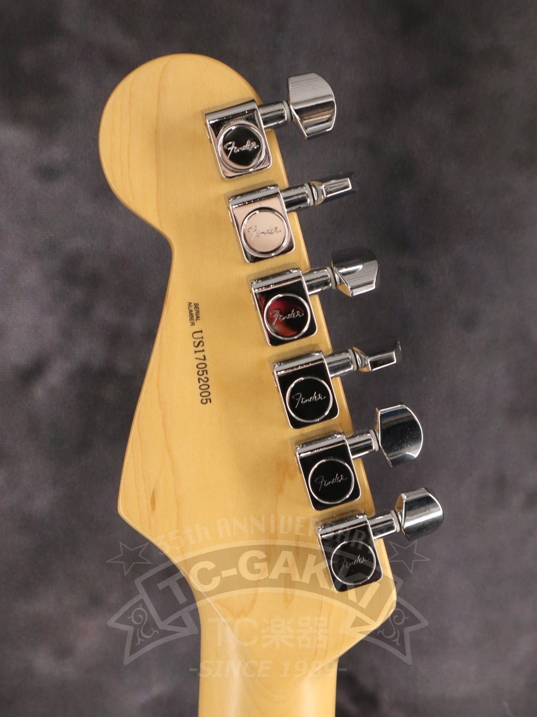 American Professional Stratocaster - TC楽器 - TCGAKKI