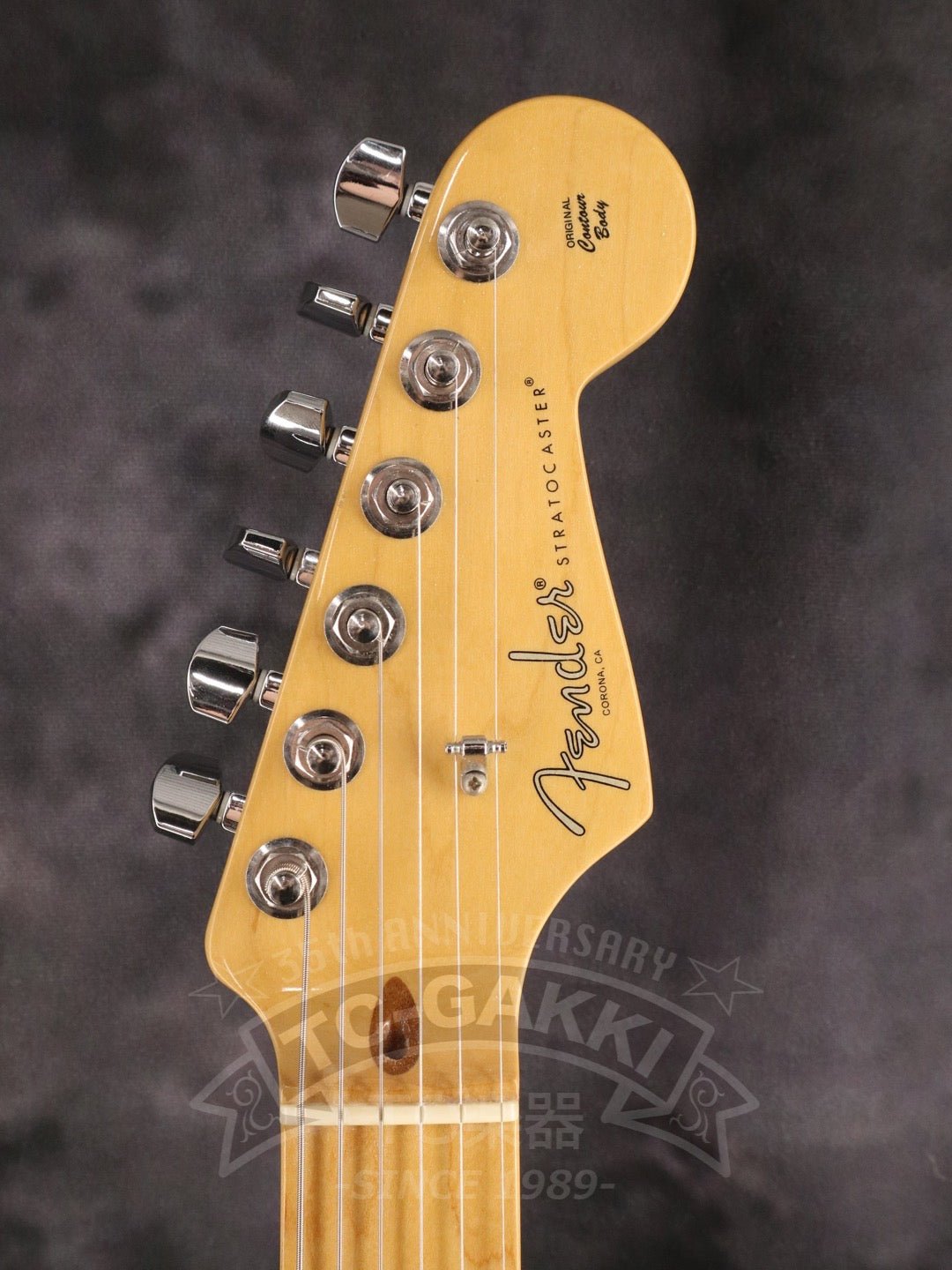 American Professional Stratocaster - TC楽器 - TCGAKKI