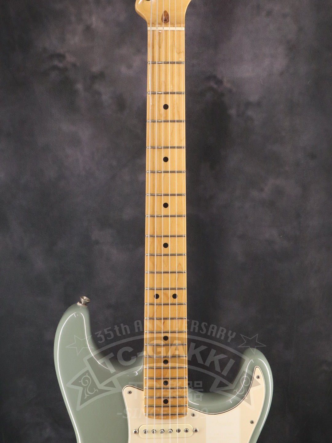 American Professional Stratocaster - TC楽器 - TCGAKKI