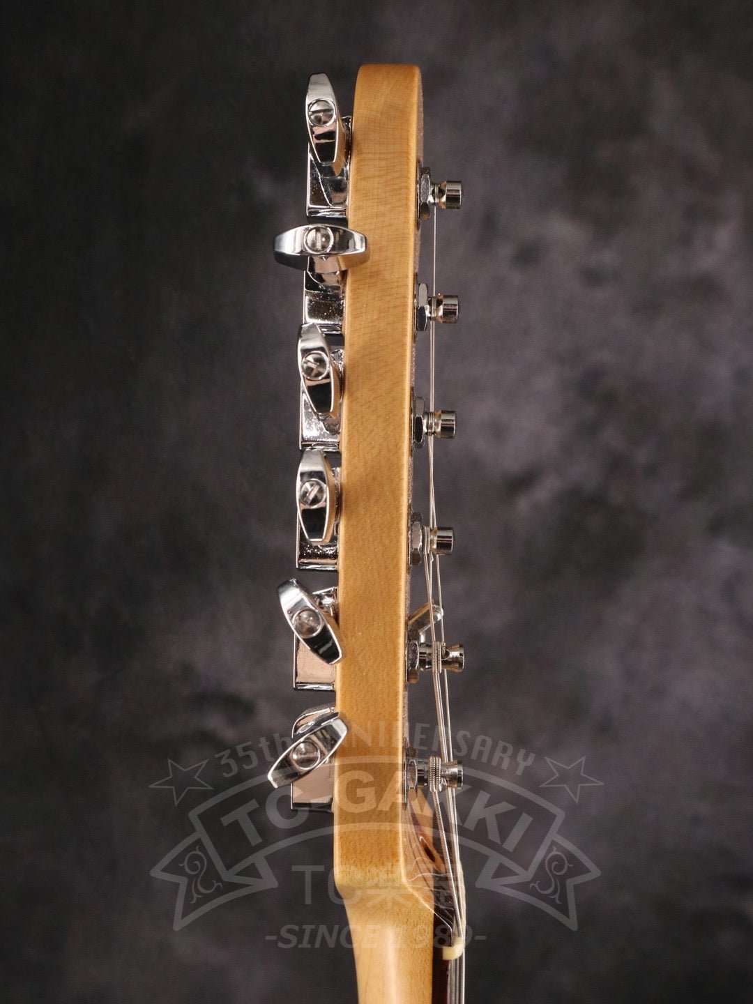 American professional Stratocaster HSS - TC楽器 - TCGAKKI