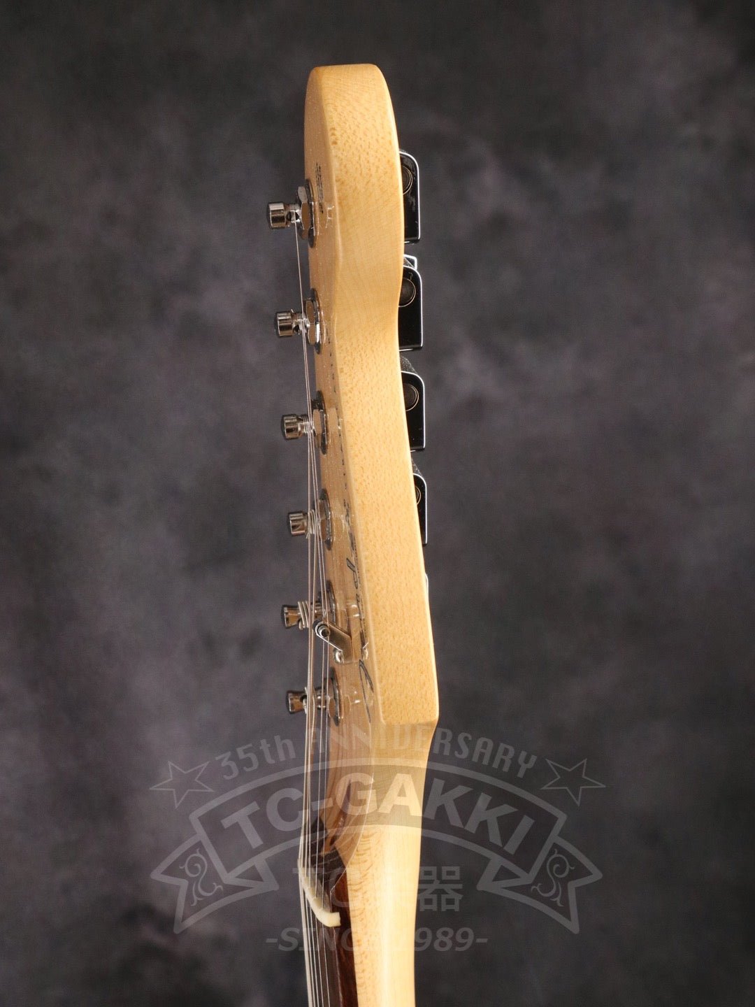 American professional Stratocaster HSS - TC楽器 - TCGAKKI
