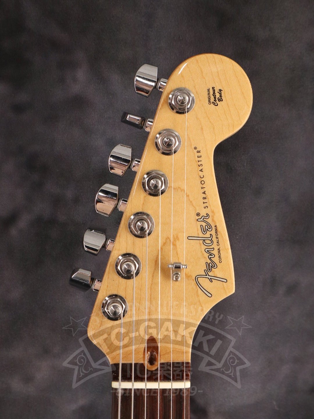 American professional Stratocaster HSS - TC楽器 - TCGAKKI