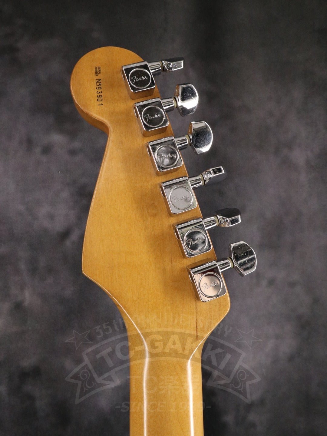 American Standard Stratocaster - TC楽器 - TCGAKKI