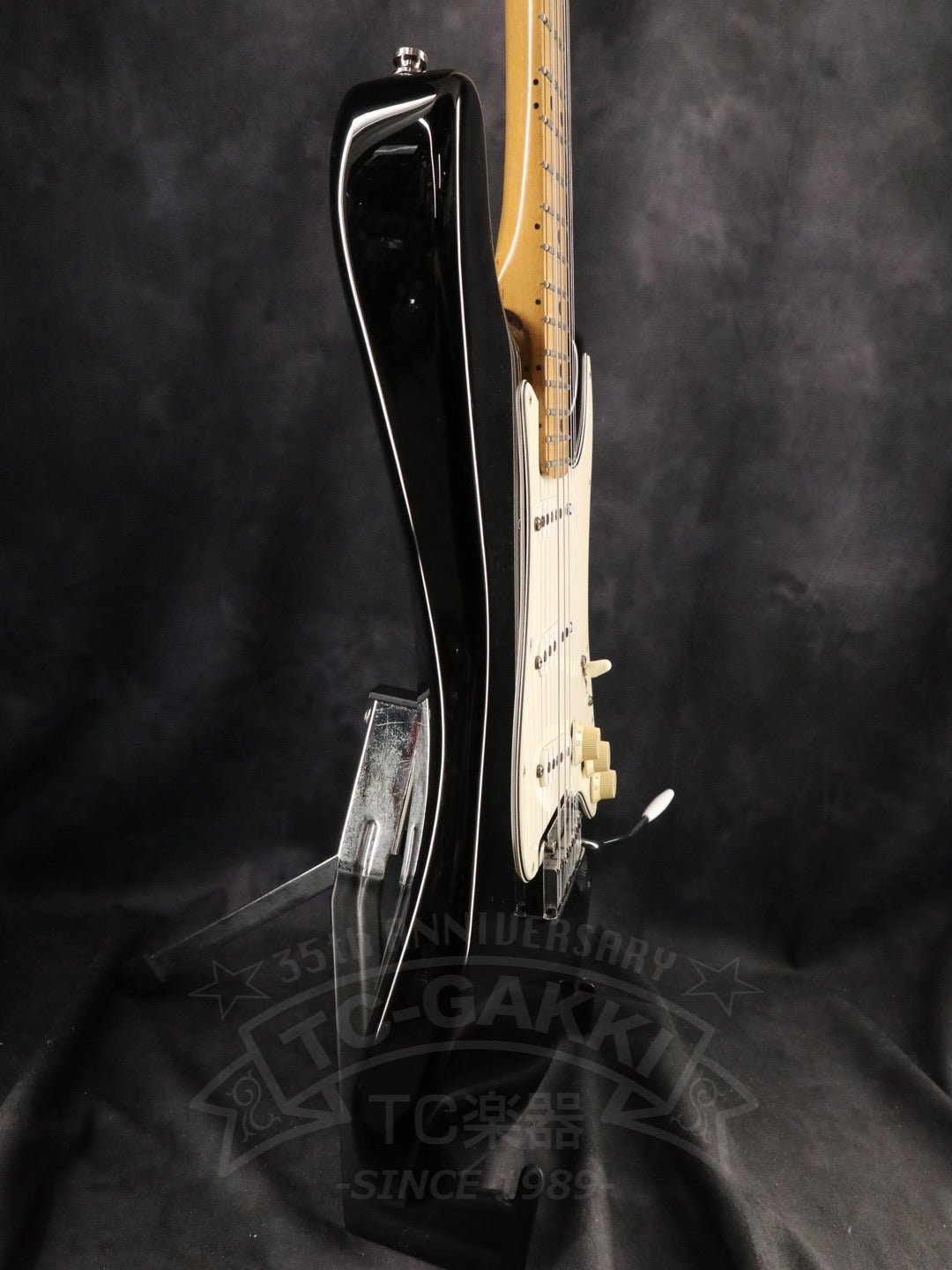 American Standard Stratocaster - TC楽器 - TCGAKKI