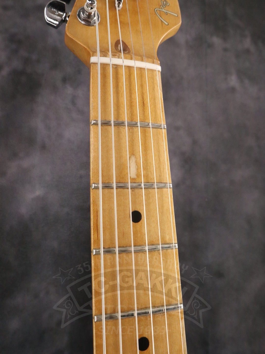 American Standard Stratocaster - TC楽器 - TCGAKKI