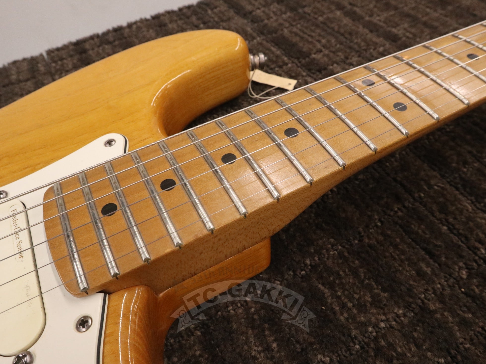 American Standard Stratocaster Mod
