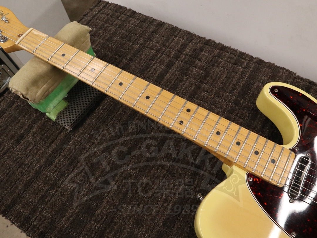 American Standard Telecaster - TC楽器 - TCGAKKI
