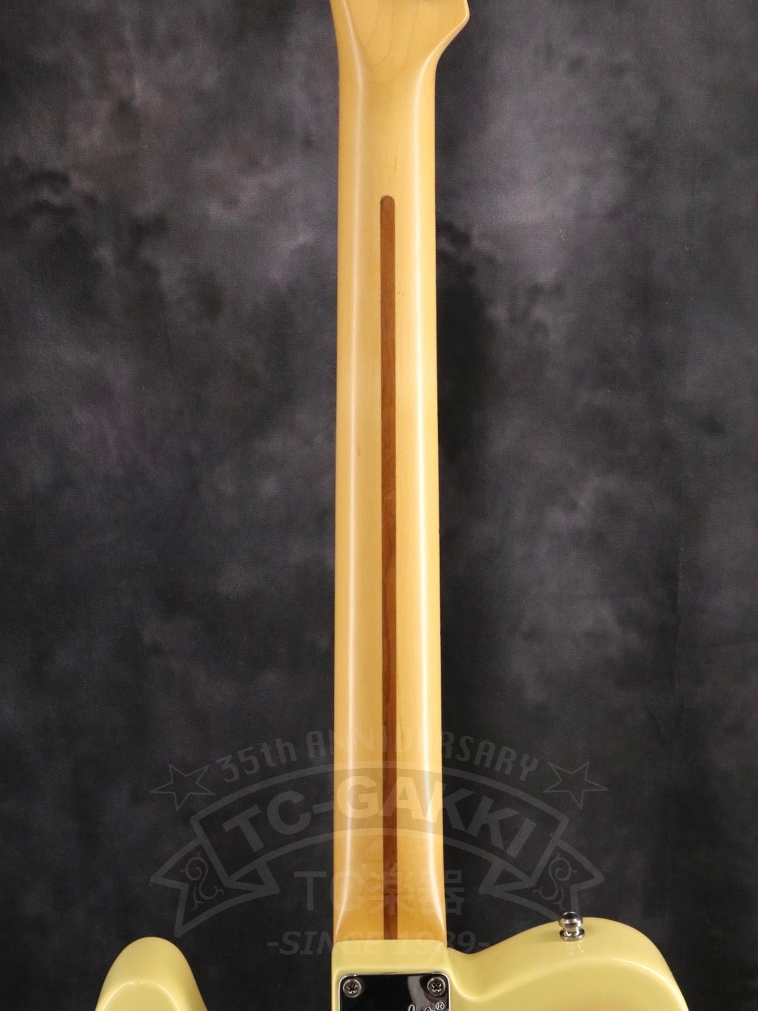 American Standard Telecaster - TC楽器 - TCGAKKI
