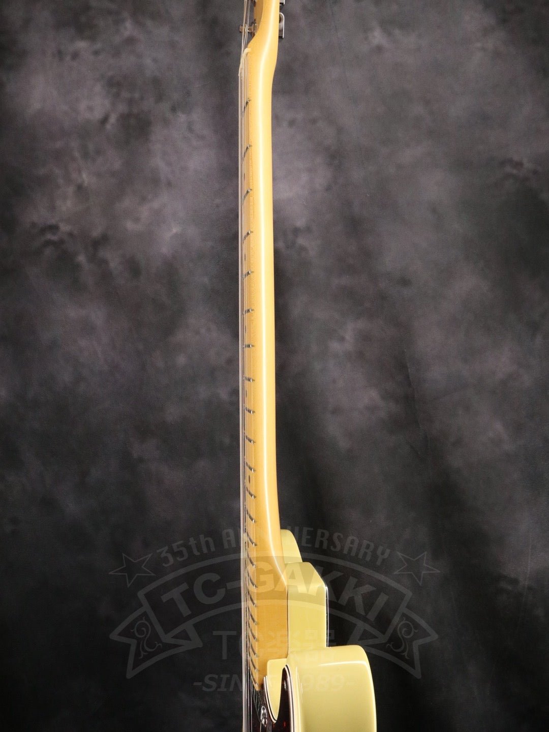 American Standard Telecaster - TC楽器 - TCGAKKI