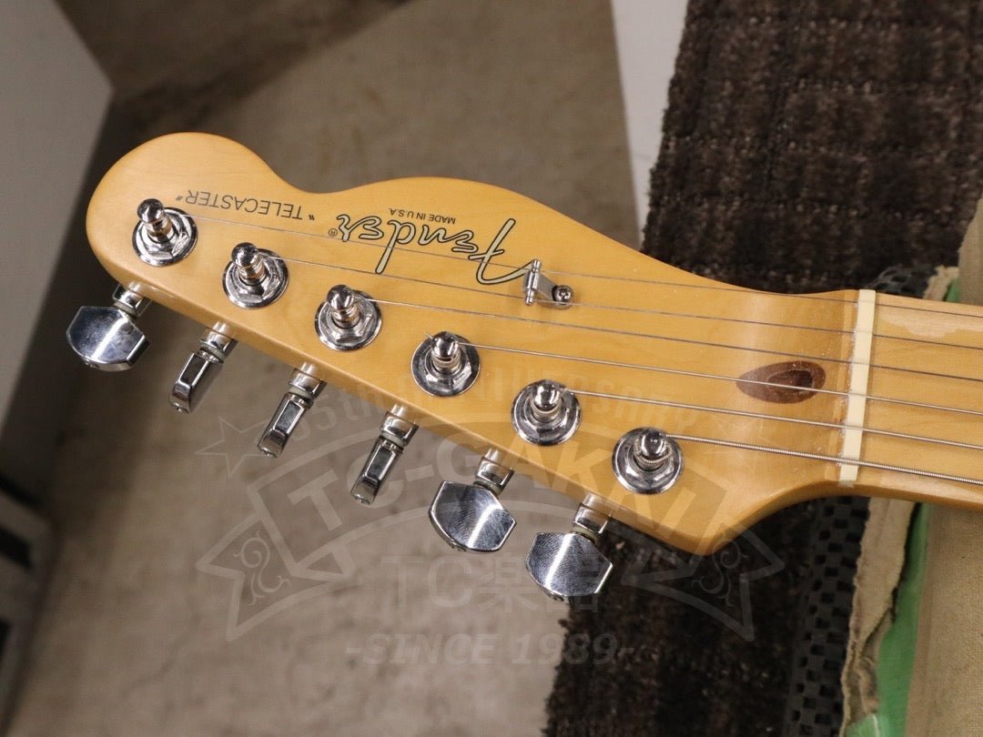 American Standard Telecaster - TC楽器 - TCGAKKI