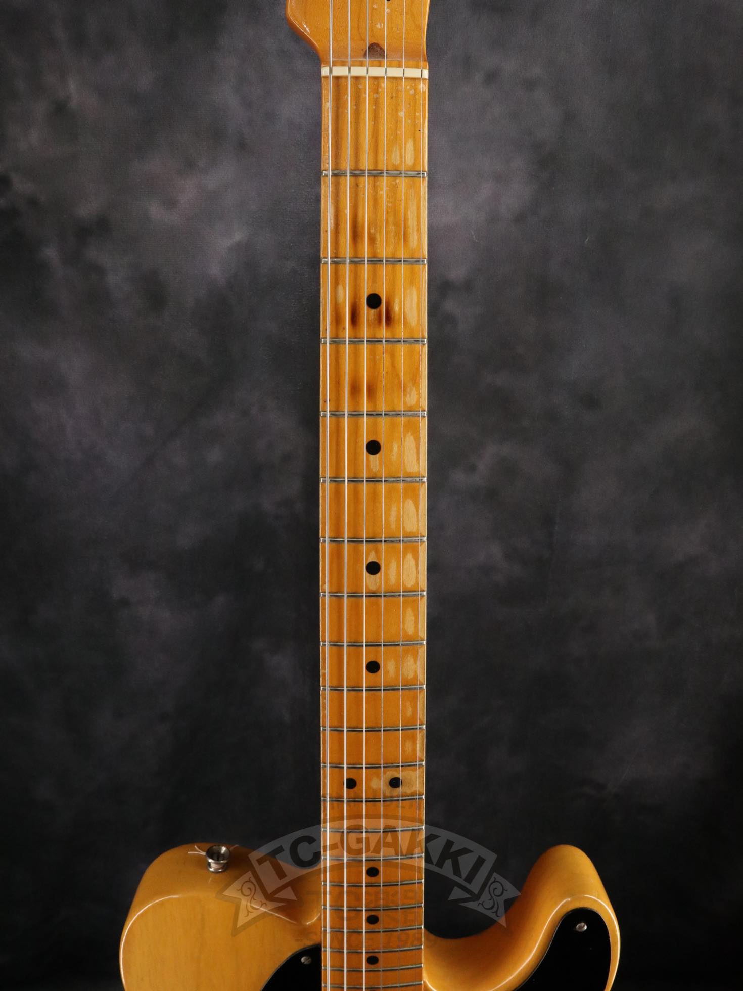 American Vintage '52 Telecaster - TC楽器 - TCGAKKI