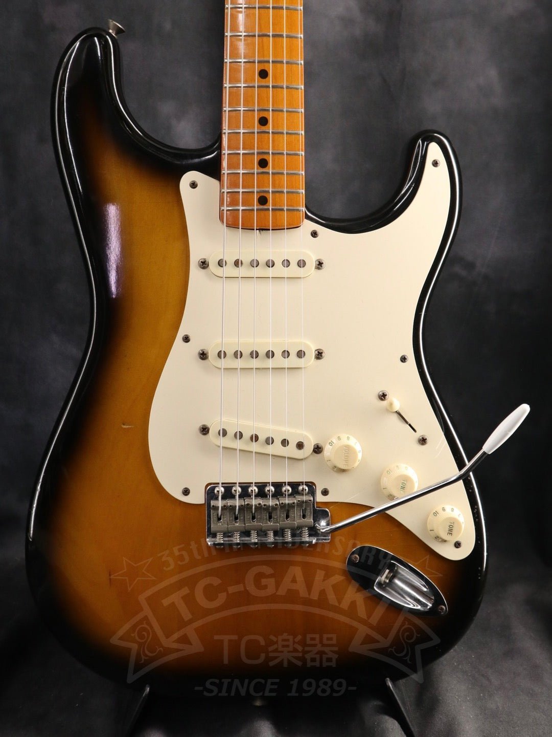 American Vintage '57 Stratocaster - TC楽器 - TCGAKKI