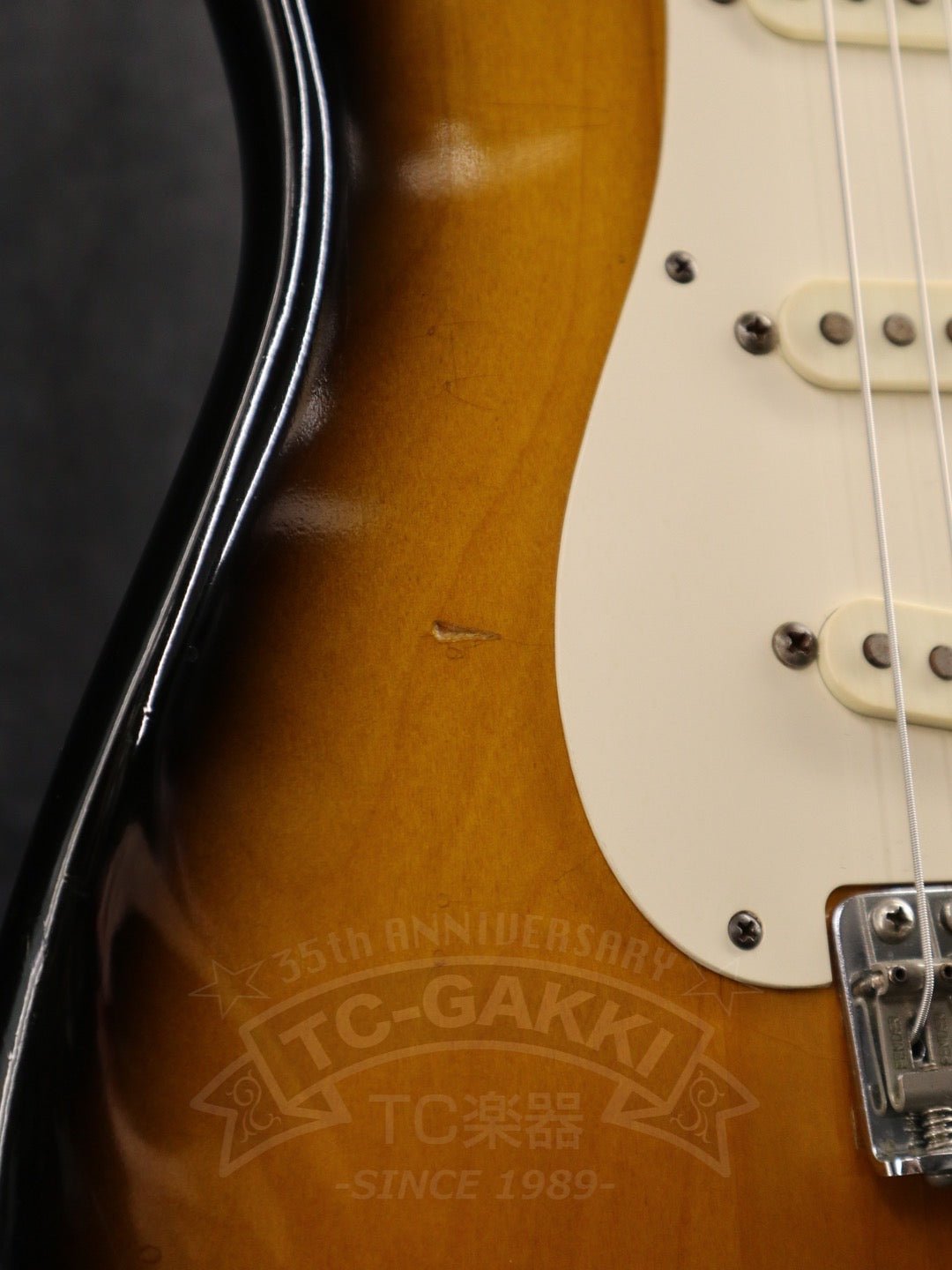 American Vintage '57 Stratocaster - TC楽器 - TCGAKKI