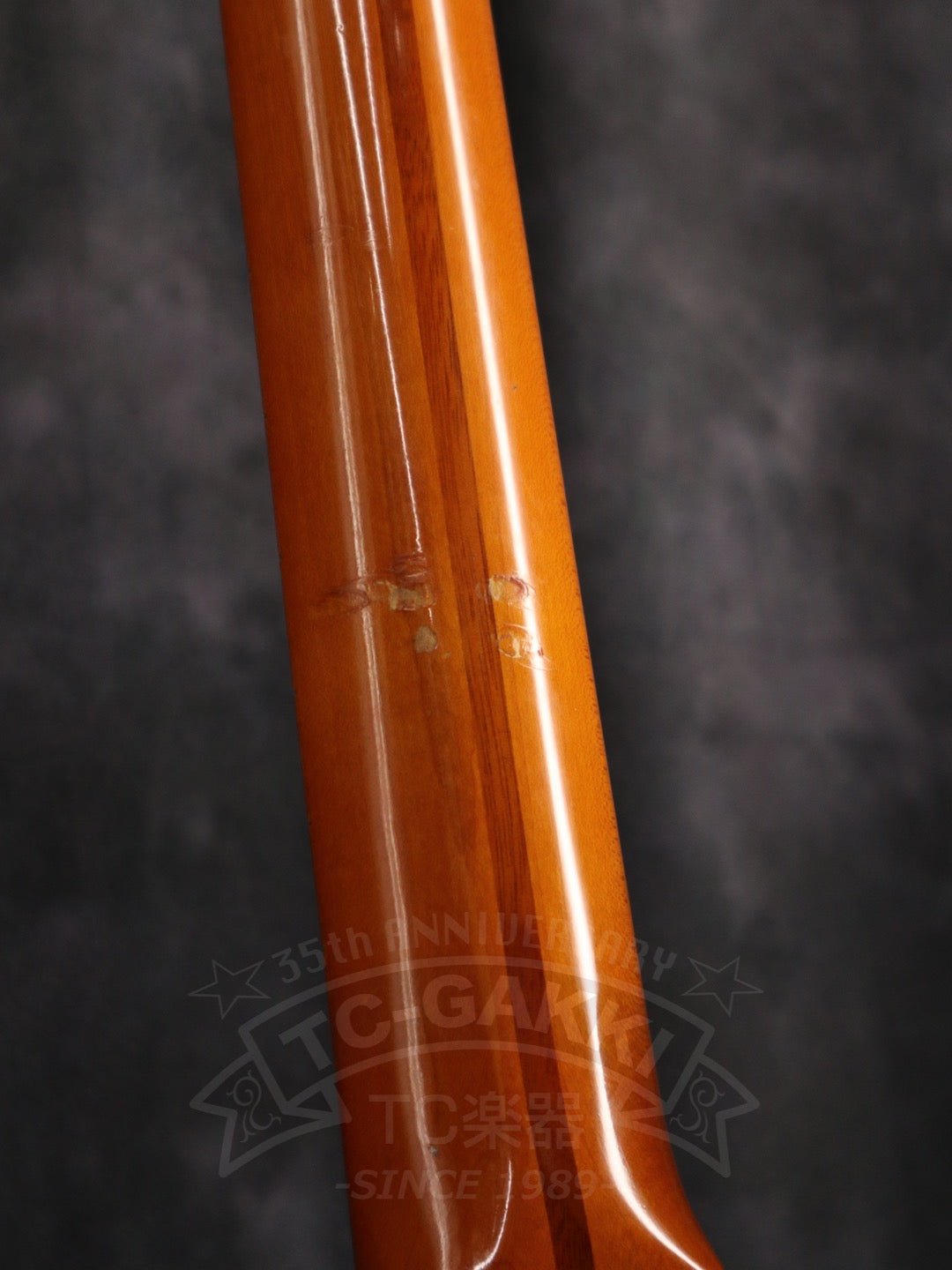American Vintage '57 Stratocaster - TC楽器 - TCGAKKI