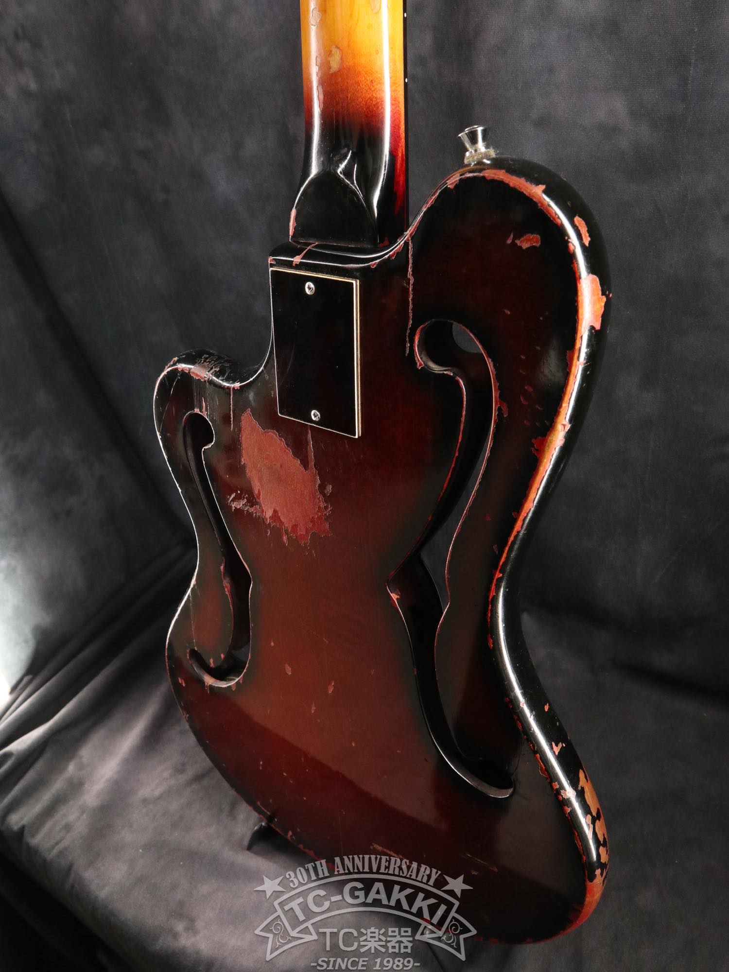 Ampeg 1968 AMUB-1 Scroll Bass - TC楽器 - TCGAKKI