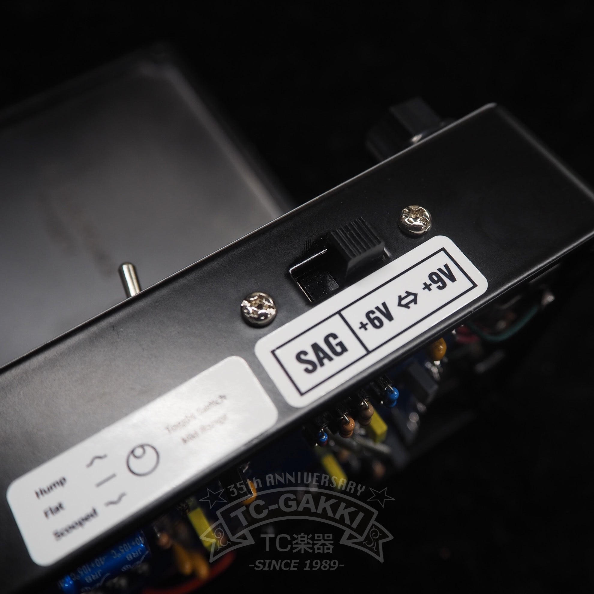 Analog White Zero FUZZSINTHE Verve - TC楽器 - TCGAKKI