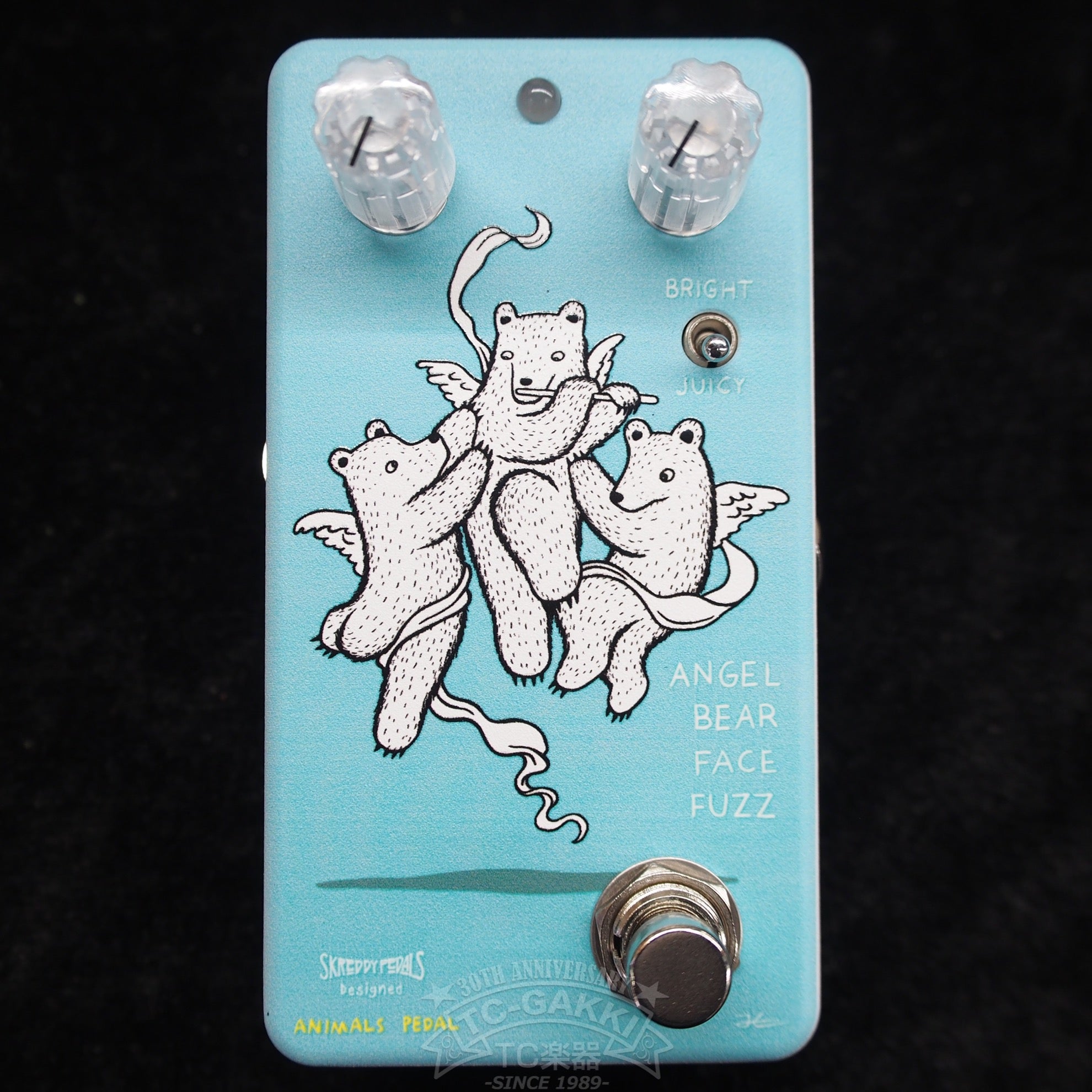 ANGEL BEAR FACE FUZZ - TC楽器 - TCGAKKI