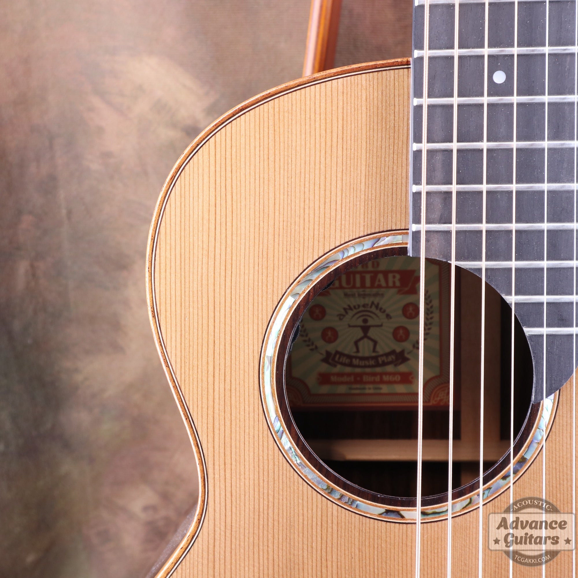 【傷有りのため特価】aNN - M60E【新品】 - TC楽器 - TCGAKKI