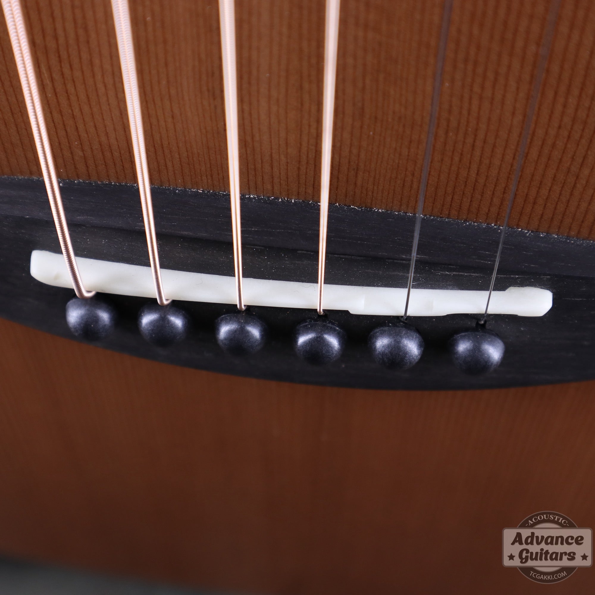 【傷有りのため特価】aNN - M60E【新品】 - TC楽器 - TCGAKKI